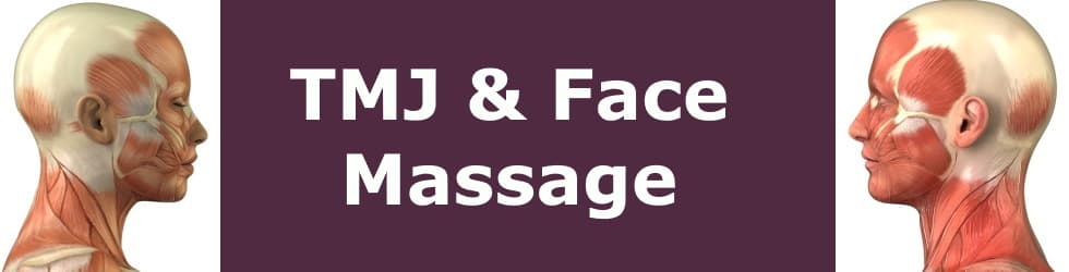 Jaw Skull And Face Remedial Massage For Tmj Tothepoint Massage 1721