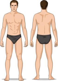 pain map - choose an area